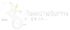 rs logo white
